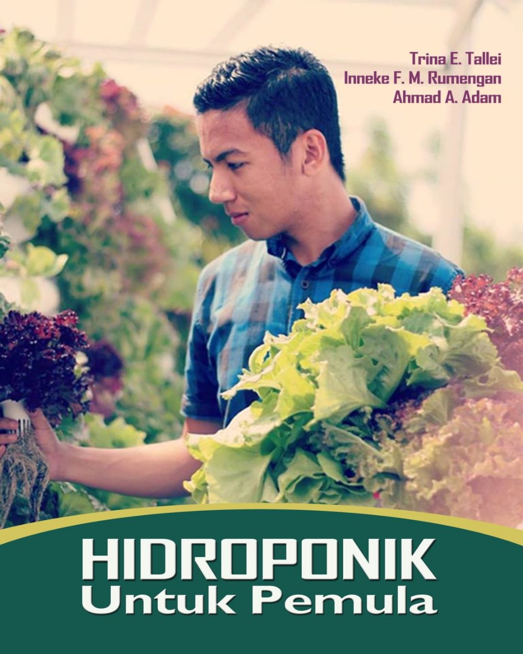 Hidroponik Untuk Pemula