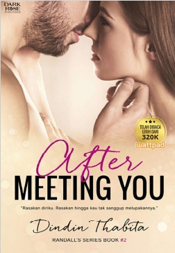After Meeting You (Dindin Thabita)