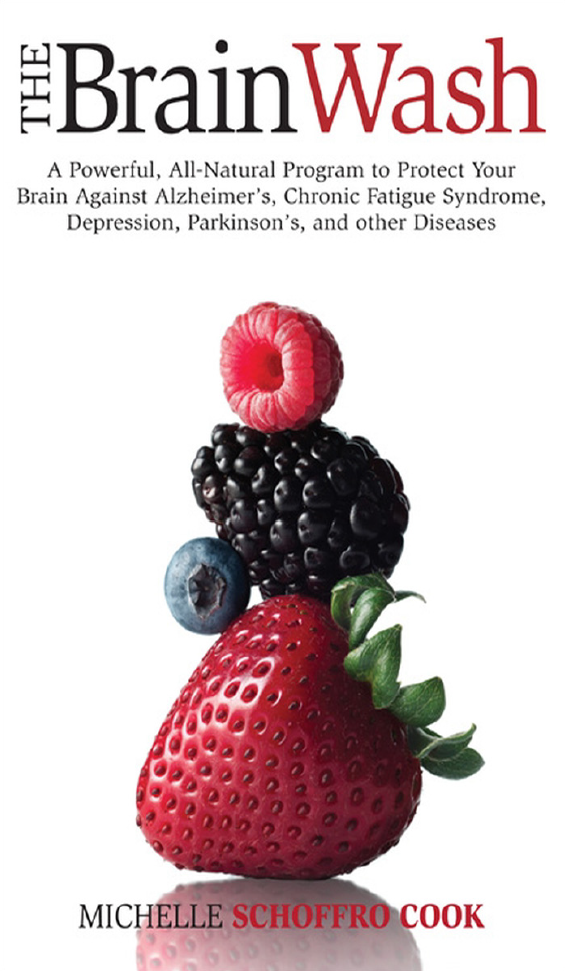 The Brain Wash A Powerful, All-Natural Program to Protect Your Brain Against Alsheimer's Chronic fatigue Syndrome, Depression, Parkinson's, and other Diseases